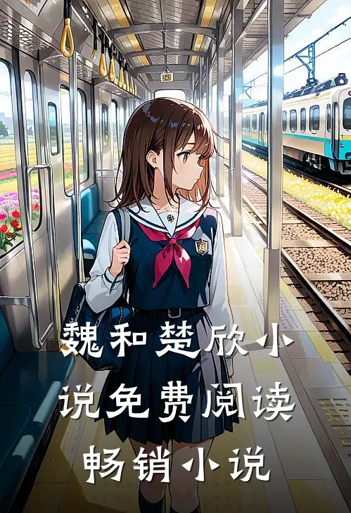 魏和楚欣小说免费阅读畅销小说