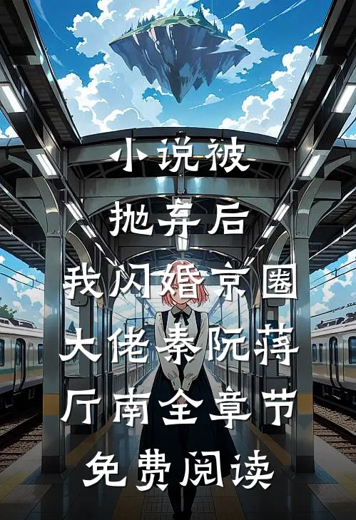 小说被抛弃后，我闪婚京圈大佬秦阮蒋厅南全章节免费阅读