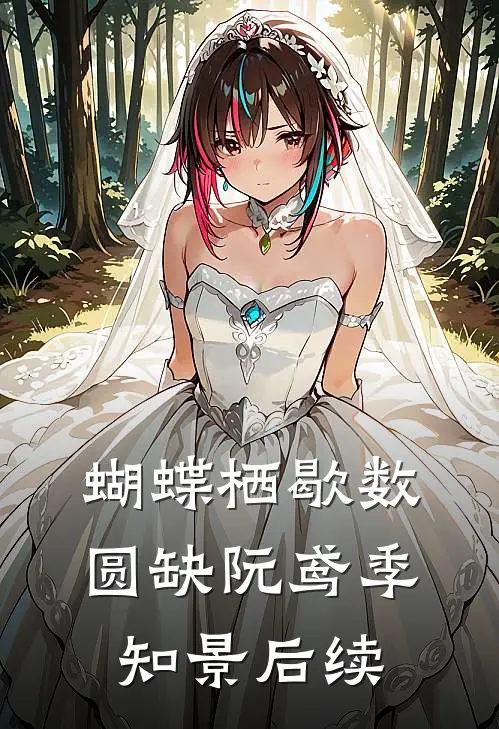 蝴蝶栖歇数圆缺阮鸢季知景后续