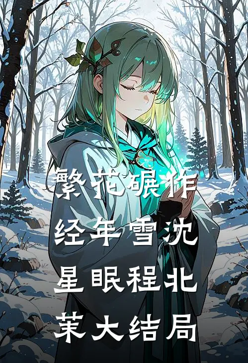繁花碾作经年雪沈星眠程北茉大结局