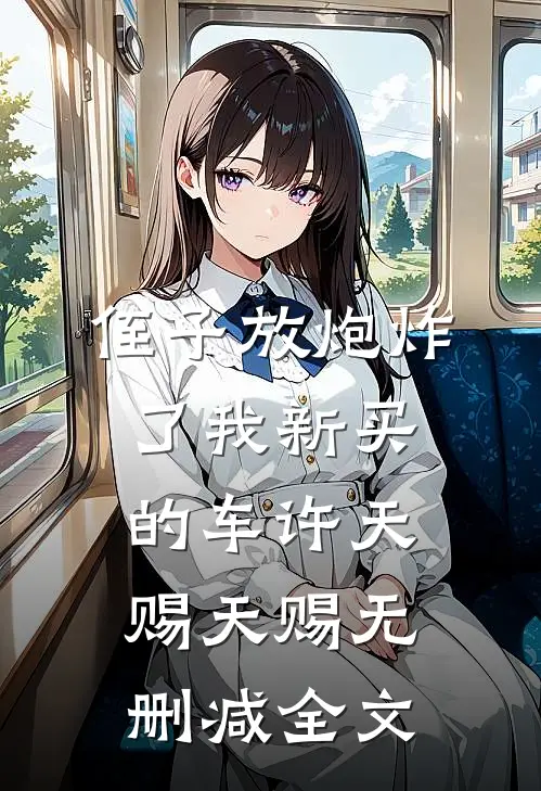 侄子放炮炸了我新买的车许天赐天赐无删减全文