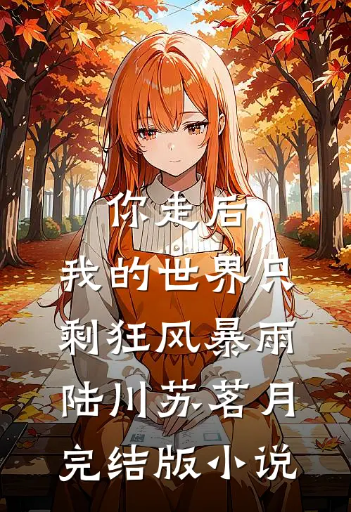 你走后，我的世界只剩狂风暴雨陆川苏茗月完结版小说