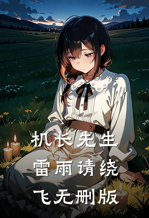 机长先生，雷雨请绕飞无删版