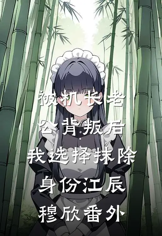 被机长老公背叛后，我选择抹除身份江辰穆欣番外